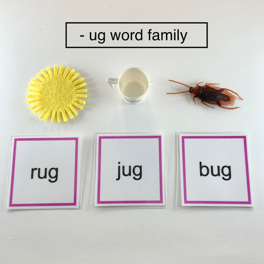 Montessori Phonics Pink Series Word Family Object Box